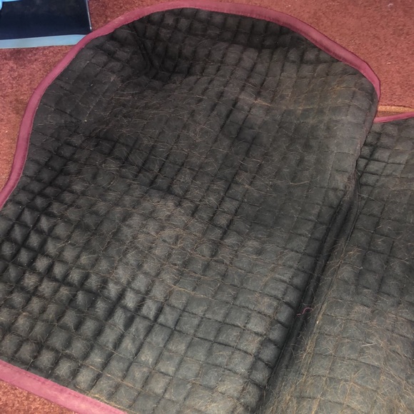 COPY - Le Mieux Saddle pad! - Picture 4 of 4